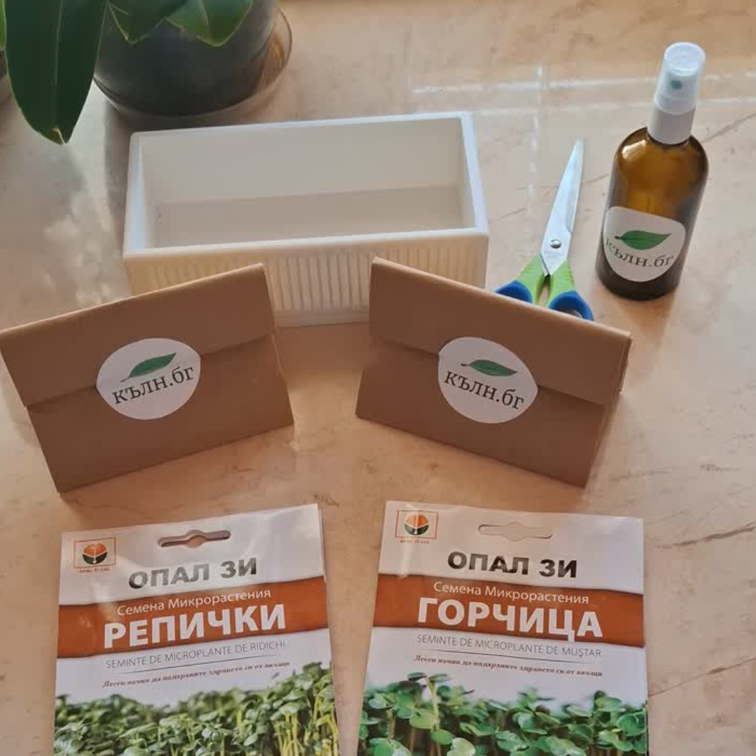 Кълн.бг снимка 4